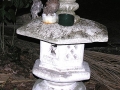 DSCN5405