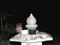 DSCN5407