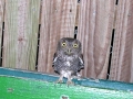 DSCN5422