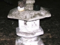 DSCN5423