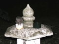 DSCN5424