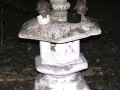 DSCN5425