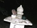 DSCN5427