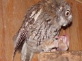 DSC05558