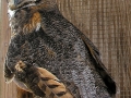 DSCN0392