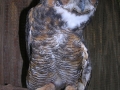 DSCN0848
