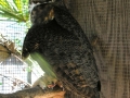 DSCN0947