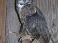 DSCN0950