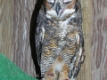 DSCN2179
