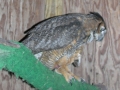 DSCN2863