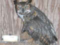DSCN2867