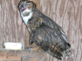 DSCN2868
