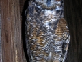 DSCN5008