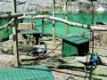 DSC00178