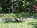 DSC00190