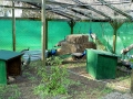 DSC00202