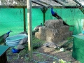 DSC00207