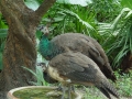 DSC00370