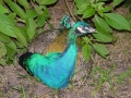 DSC00880