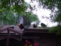 DSC01501