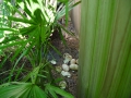 DSC04035