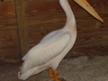 DSC08056