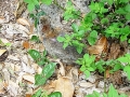 DSC01134