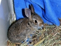DSCN2004_1