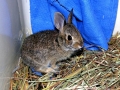 DSCN2007_2
