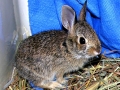 DSCN2007_3