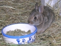 DSCN2547