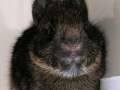 DSCN2615_1