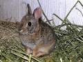 DSCN3268