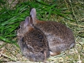 DSCN3274_(2)