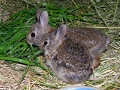 DSCN3275_(2)