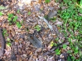 DSCN3612