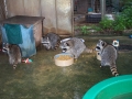 DCP_6493 (2)