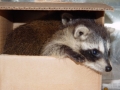 DSC00899