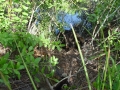 DSC00995