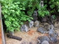 DSCN5772