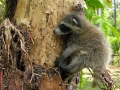 DSCN8405