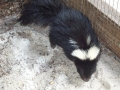 DCP_2285
