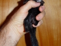 DSC04775