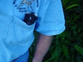 DSC04847