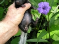 DSCN5575