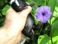 DSCN5576