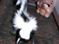 DSCN5578