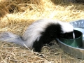 DSCN5717
