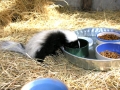 DSCN5718
