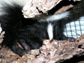 DSCN5725_1